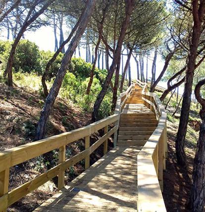 Beach,Surf, Hiking And More Масейра Экстерьер фото